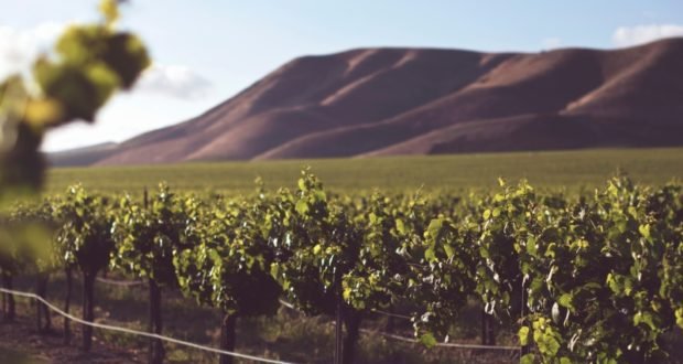 Víte, že šumivá vína se hodí ke všemu? Nenechávejte si je jen na oslavu