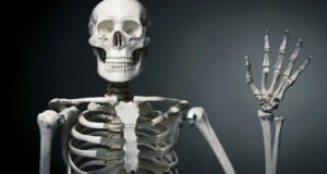 Nové možnosti ve vzdělávání