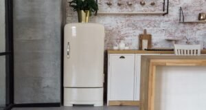 Podle jakých kritérií vybírat lednici?